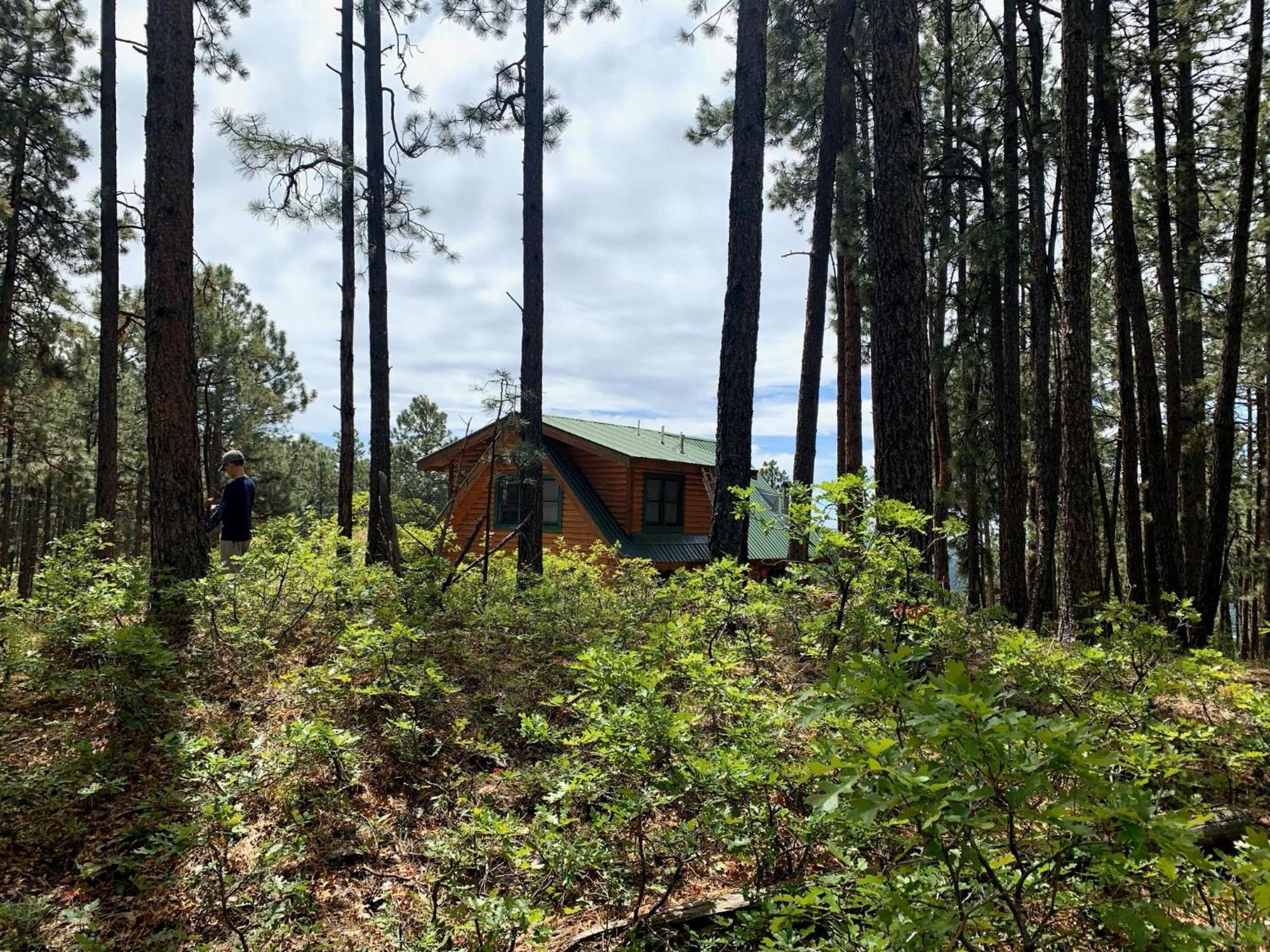 Bear Paw Lodge & Vacation Homes Vallecito Exterior photo